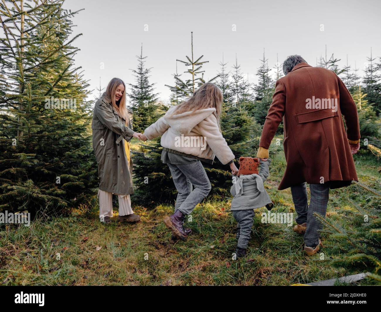 Verspielte Familie hält sich die Hände und geht in der Weihnachtsbaumfarm spazieren Stockfoto