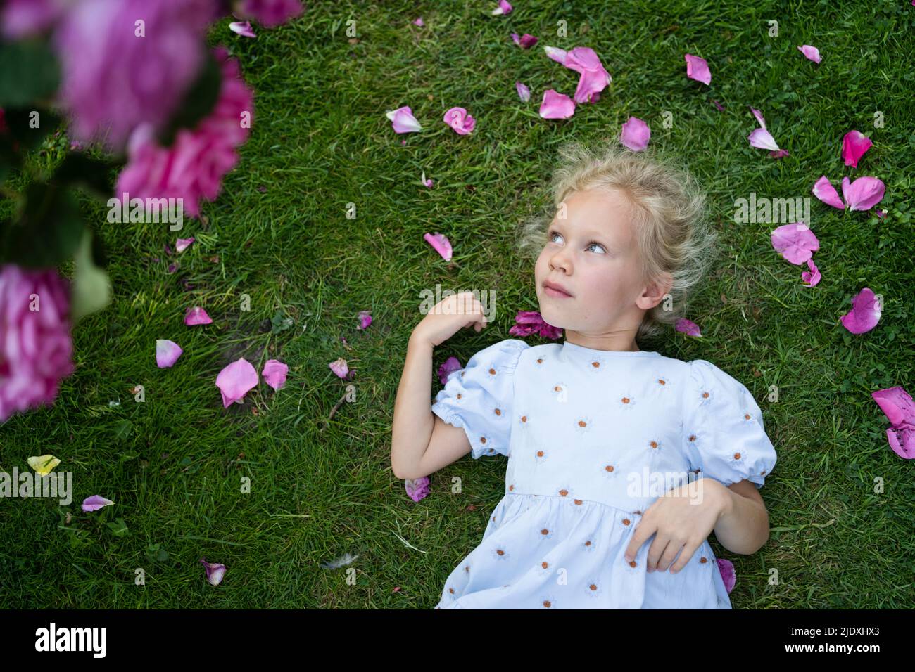 Nachdenklich nettes Mädchen auf Gras im Rosengarten liegen Stockfoto