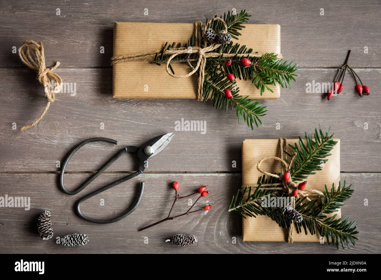 Studioaufnahme von natürlich gewickelten Weihnachtsgeschenken, die mit Fichtenzweigen verziert sind Stockfoto