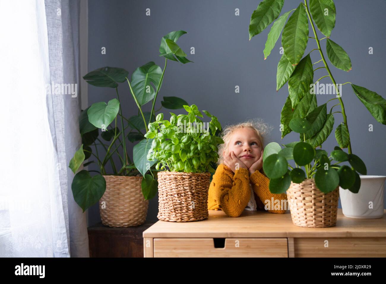 Besinnliches Mädchen von Zimmerpflanzen auf dem Tisch zu Hause Stockfoto