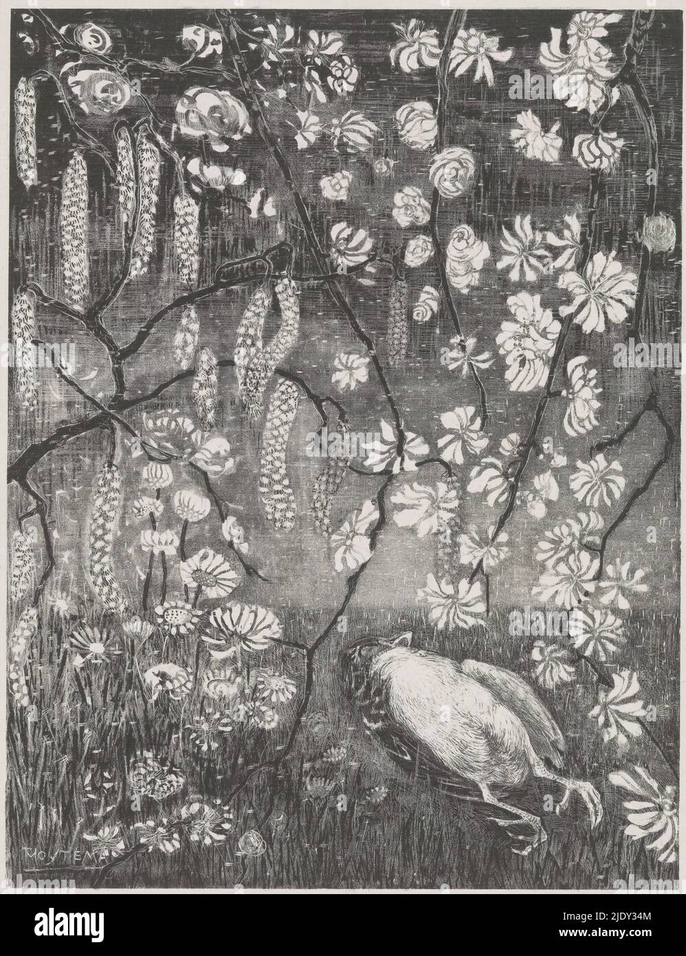 Toter Vogel, Blumenstudien (orig. Serientitel), im Gras liegender toter Vogel, umgeben von verschiedenen Blütenarten., Druckerei: Theo van Hoytema, (auf Objekt erwähnt), 1904, Papier, Höhe 293 mm × Breite 225 mm, Höhe 312 mm × Breite 240 mm Stockfoto