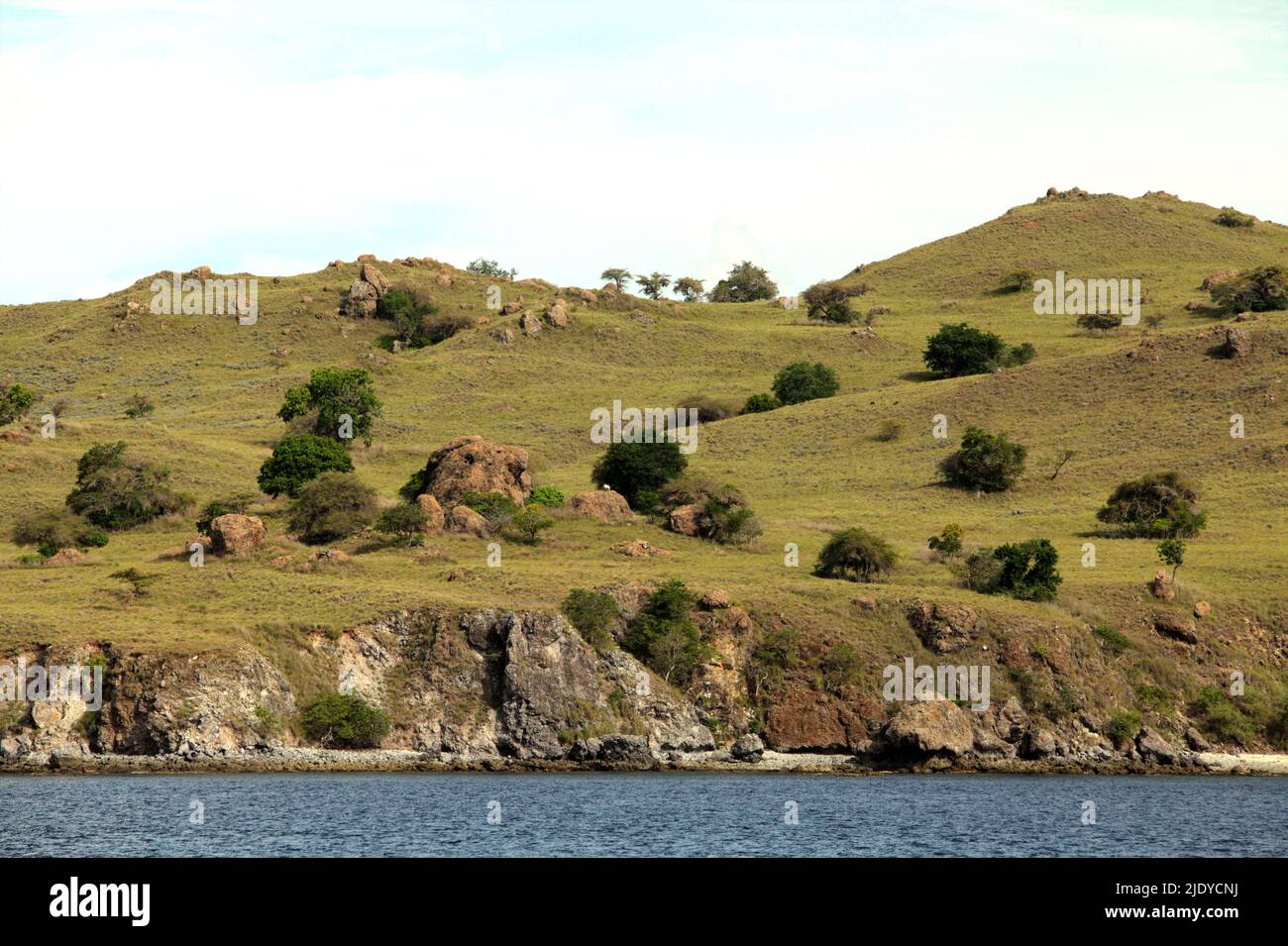 Landschaft eines trockenen, felsigen Küstenhügels, der mit Grasland bedeckt ist, im Bereich des Komodo-Nationalparks in Komodo, West Manggarai, Ost-Nusa Tenggara, Indonesien. Stockfoto