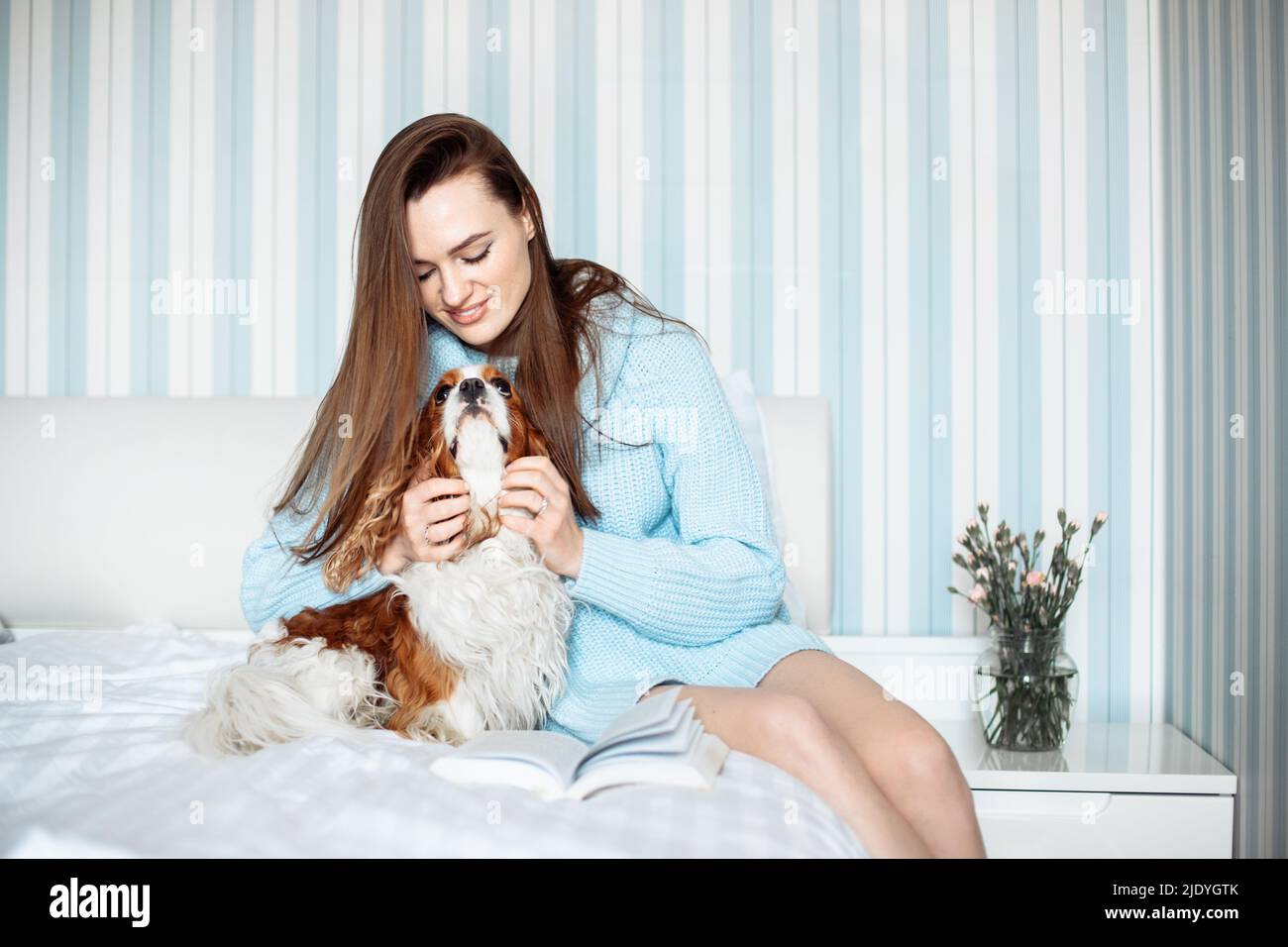 Junge hübsche Frau mit langen Haaren trägt einen blauen Strickpullover und sitzt auf dem Bett mit Hund im Schlafzimmer, Tierbesitzer Stockfoto