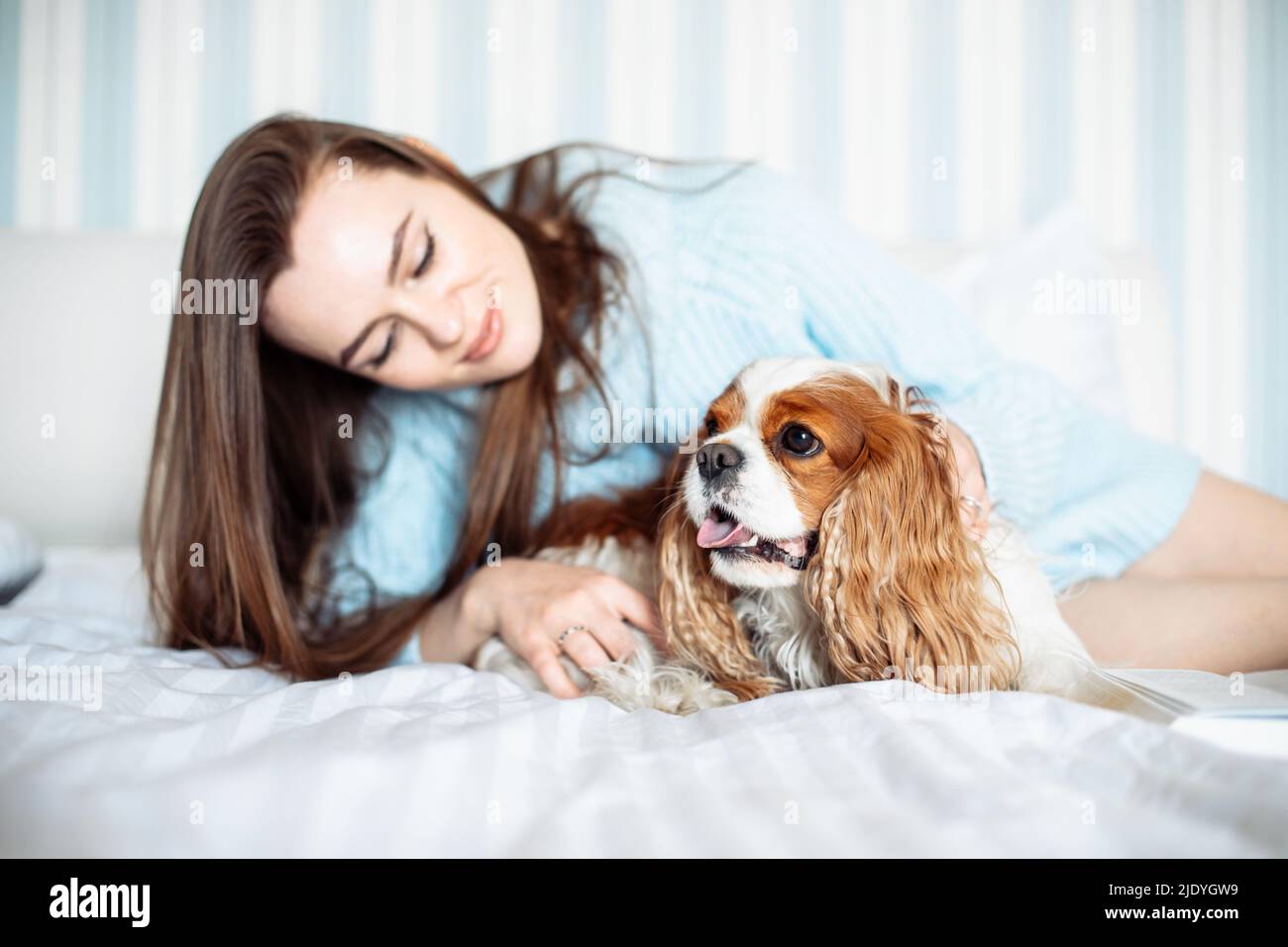Ehrfurchtgebietende junge Frau mit langen Haaren, die einen blauen Strickpullover trägt, der auf dem Bett liegt, mit Hund im Schlafzimmer, Tierbesitzerin Stockfoto