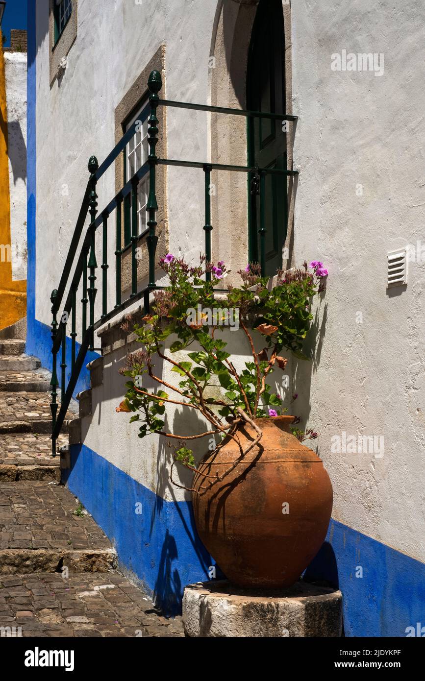 Der rosafarbene Hibiskus blüht in einem anmutigen Terrakottatopf neben dem Eingang eines alten Hauses, das in typisch portugiesischem Weiß und Blau gestrichen ist, in einer gestuften gepflasterten Gasse innerhalb der mittelalterlichen Befestigungsanlagen um Óbidos, Centro, Portugal. Stockfoto