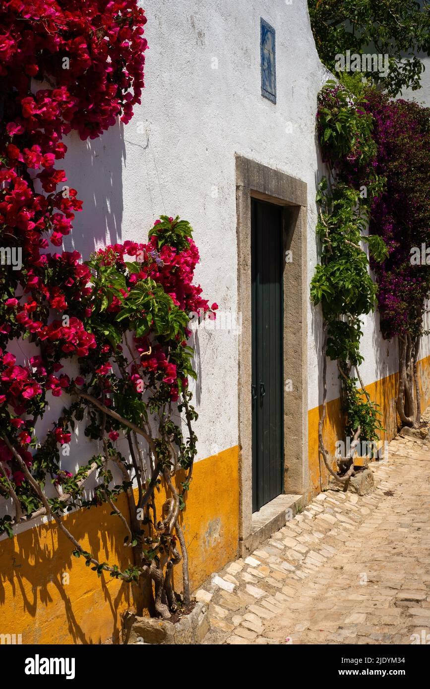 Das satte rosafarbene und tiefes florales Purpur kombiniert mit hellgelber Hausfarbe und dem dezenten Blau einer Tafel von Azulejos-Fliesen schaffen diese farbenfrohe Szene in einer friedlichen gepflasterten Straße, gesäumt von weiß getünchten typisch portugiesischen Häusern, in der befestigten mittelalterlichen Stadt Óbidos, Centro, Portugal. Stockfoto