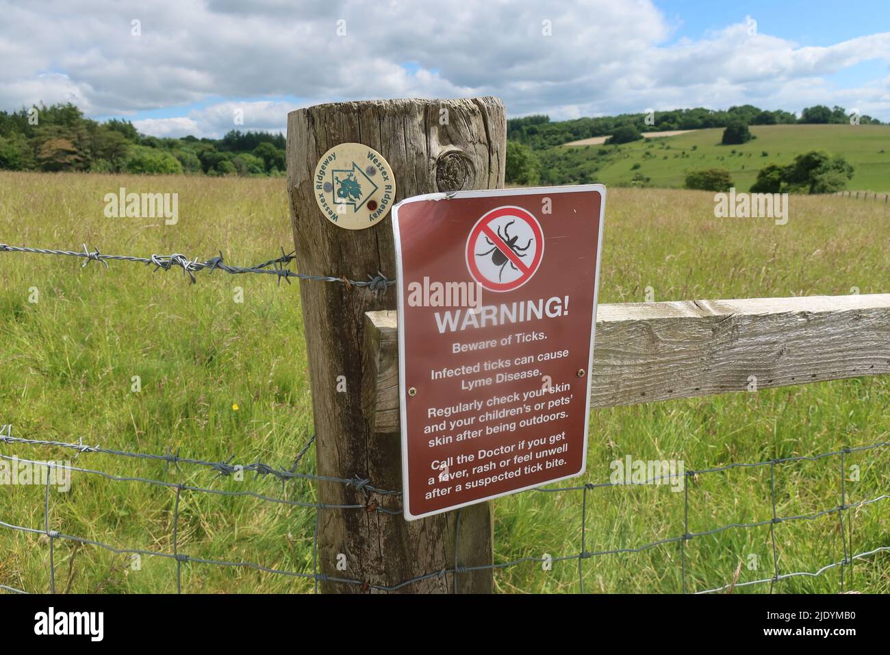 Warnticks. Lyme-Borreliose. Wessex-Fahrweg. Wiltshire. Dorset. West Country. Südwesten. England. VEREINIGTES KÖNIGREICH Stockfoto