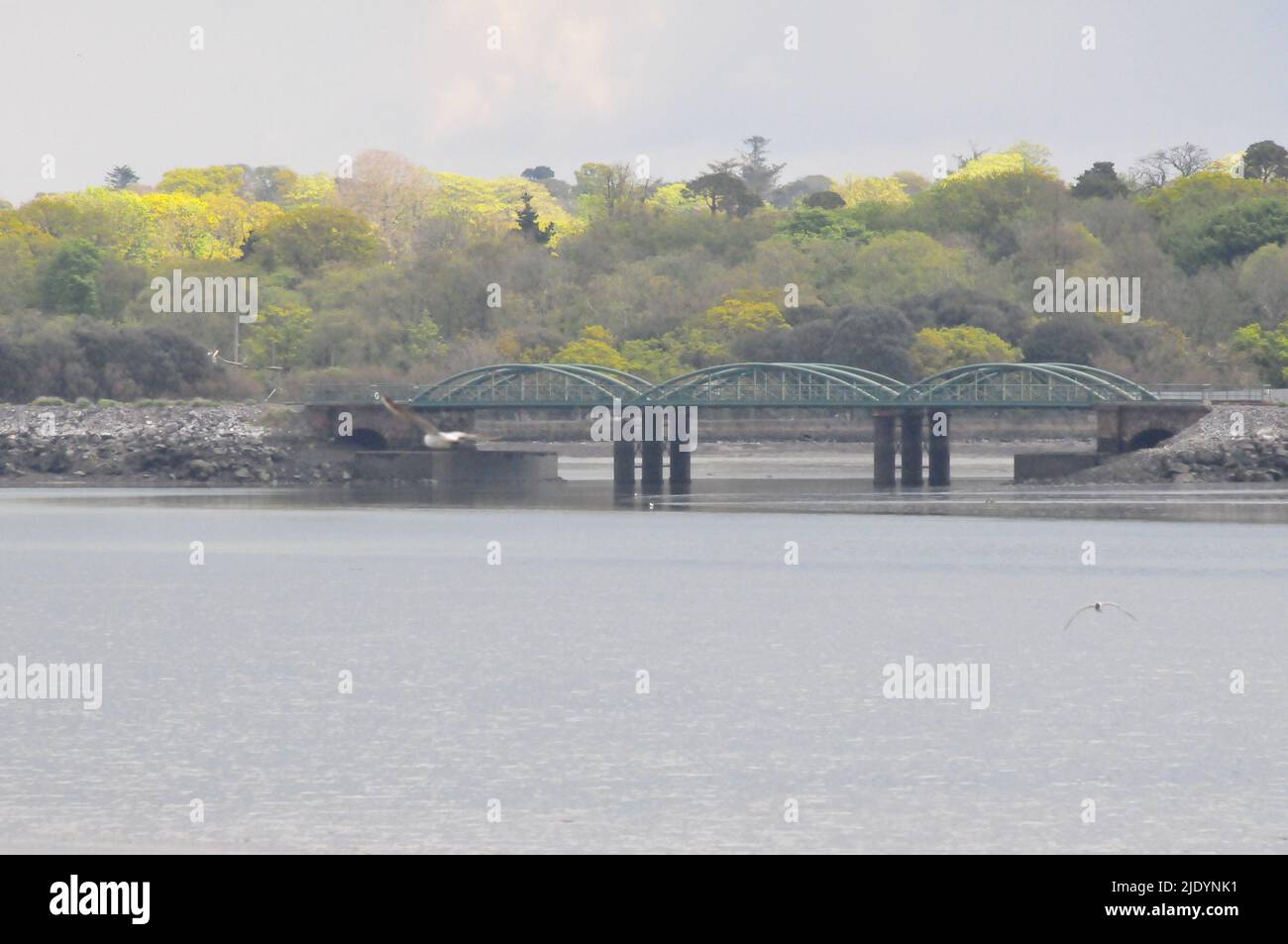 Eisenbahnbrücke auf Fota Island Cork Stockfoto