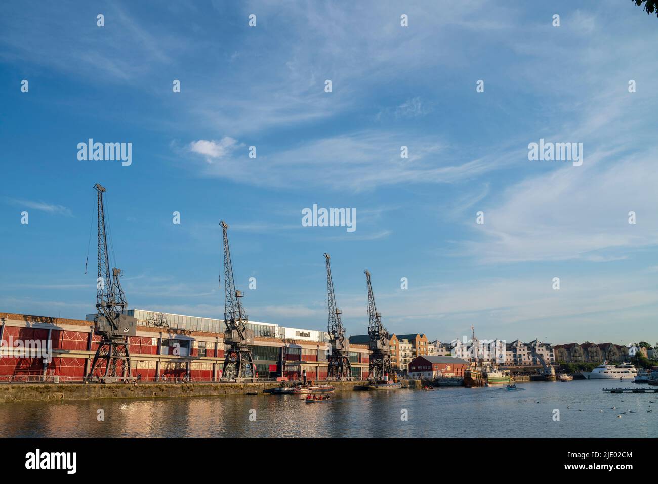 Kraniche, Ruderboote und der mShed im schwimmenden Hafengebiet von Bristol an einem sonnigen Sommerabend. Stockfoto