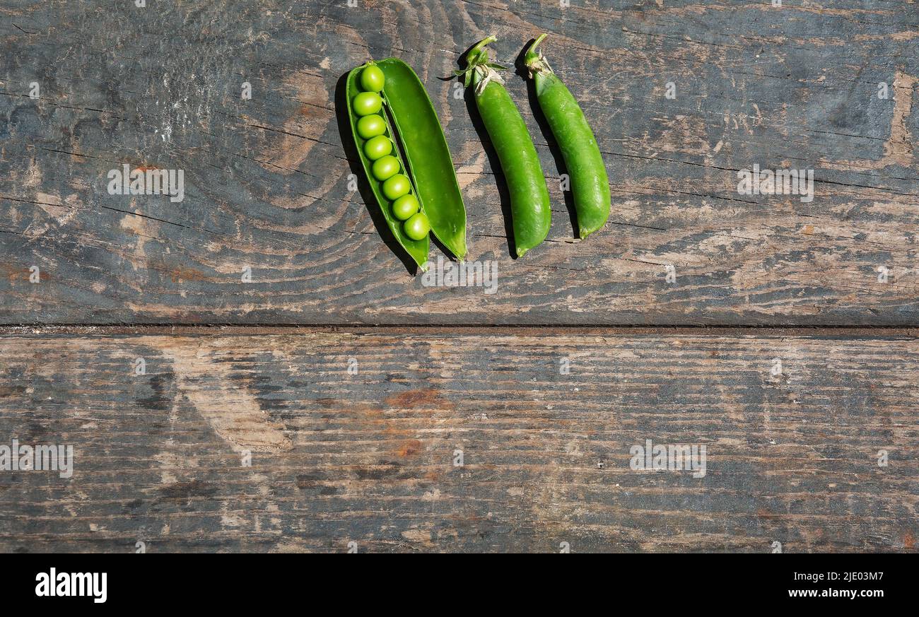 Grüne Erbsenstiele auf einer Holzstruktur. Platinen. Kochen, Gartenarbeit, Gemüsegarten Stockfoto