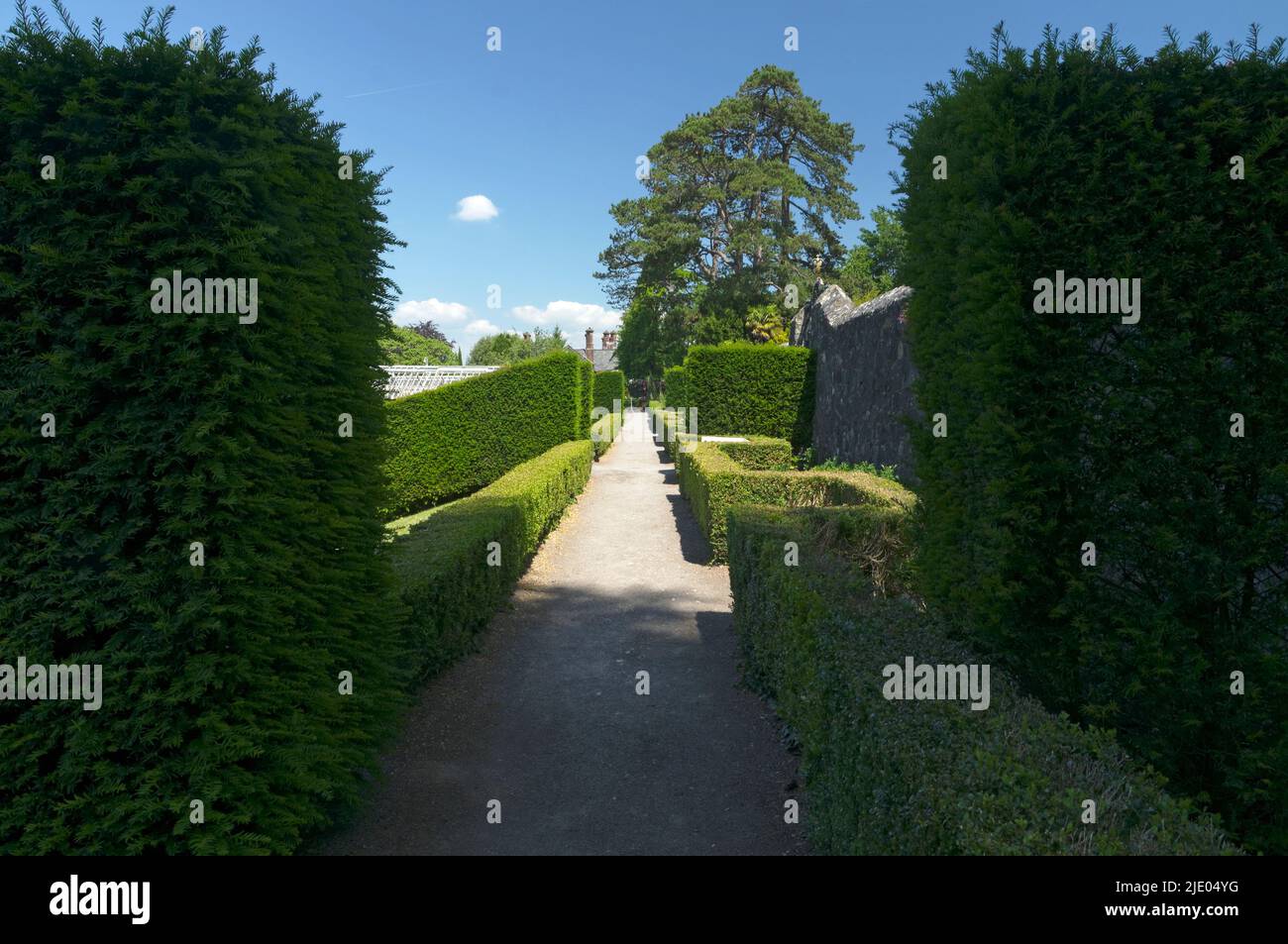 Kastenhedging und Eibenhecken in den formalen Gärten, Saint Fagan's Museum, Cardiff Stockfoto