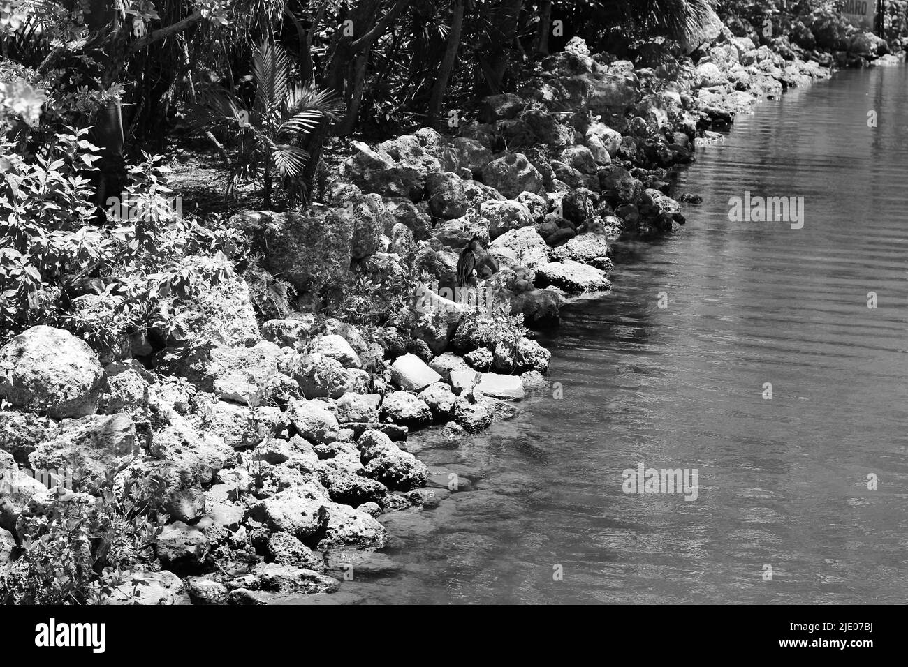 Das felsige Ufer entlang eines Teiches mit frischem, klarem Wasser in Schwarz und Weiß. Stockfoto