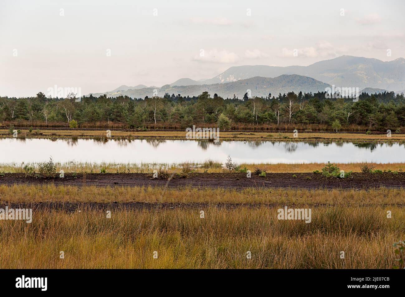 Sterntaler Filze Moorerlebnis, Feuchtgebiete von internationaler Bedeutung seit 2021, bei Bad Feilnbach, Chiemgau, Oberbayern, Bayern, Deutschland Stockfoto
