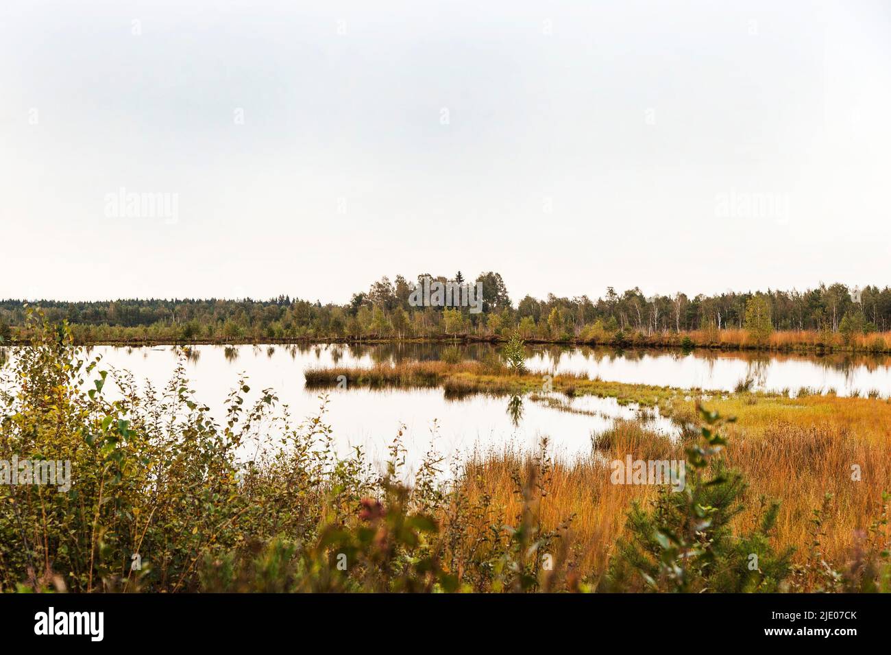 Sterntaler Filze Moorerlebnis, Feuchtgebiete von internationaler Bedeutung seit 2021, bei Bad Feilnbach, Chiemgau, Oberbayern, Bayern, Deutschland Stockfoto