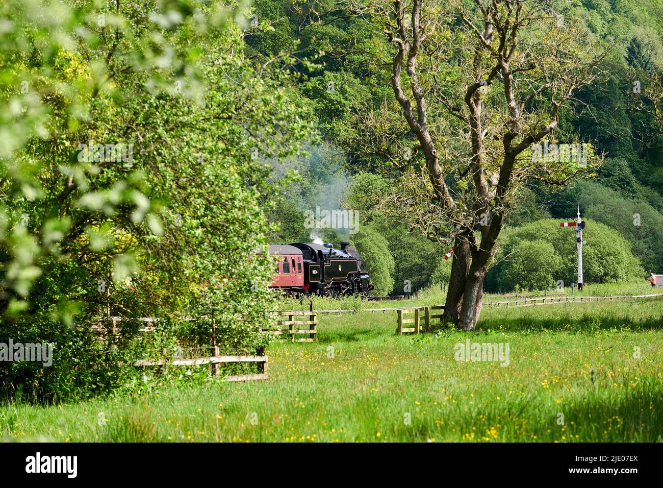 Dampfzug auf der North Yorks Moors Railway in Levisham, North Yorkshire Moors National Park, Nordengland, Großbritannien Stockfoto