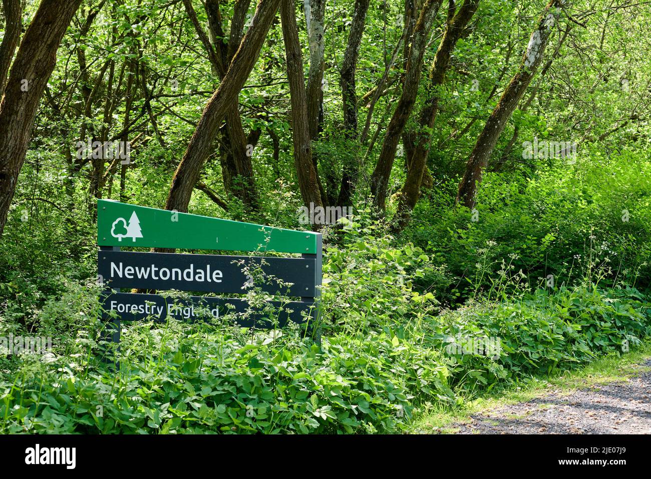 Schilder für Newtondale Forest Walk, Levisham, North Yorkshire Moors National Park, Nordengland, Großbritannien Stockfoto