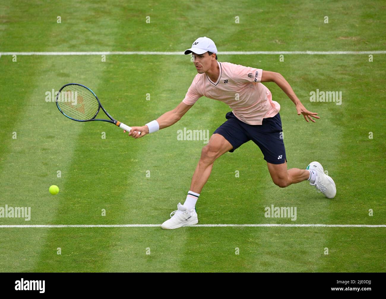 Tennis, Daniel Altmaier (GER), Aktion auf Gras, BOSS Open, Weissenhof, Stuttgart, Baden-Württemberg, Deutschland Stockfoto