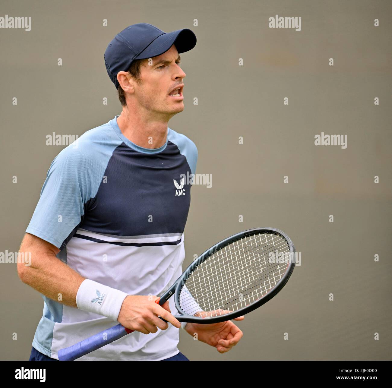 Tennis, Wimbledon-Sieger Andy Murray (GBR), BOSS Open, Weissenhof, Stuttgart, Baden-Württemberg, Deutschland Stockfoto