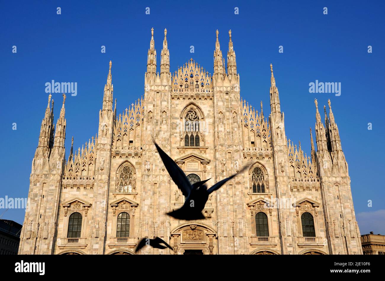 Mailänder Dom und Piazza Duomo. Stockfoto