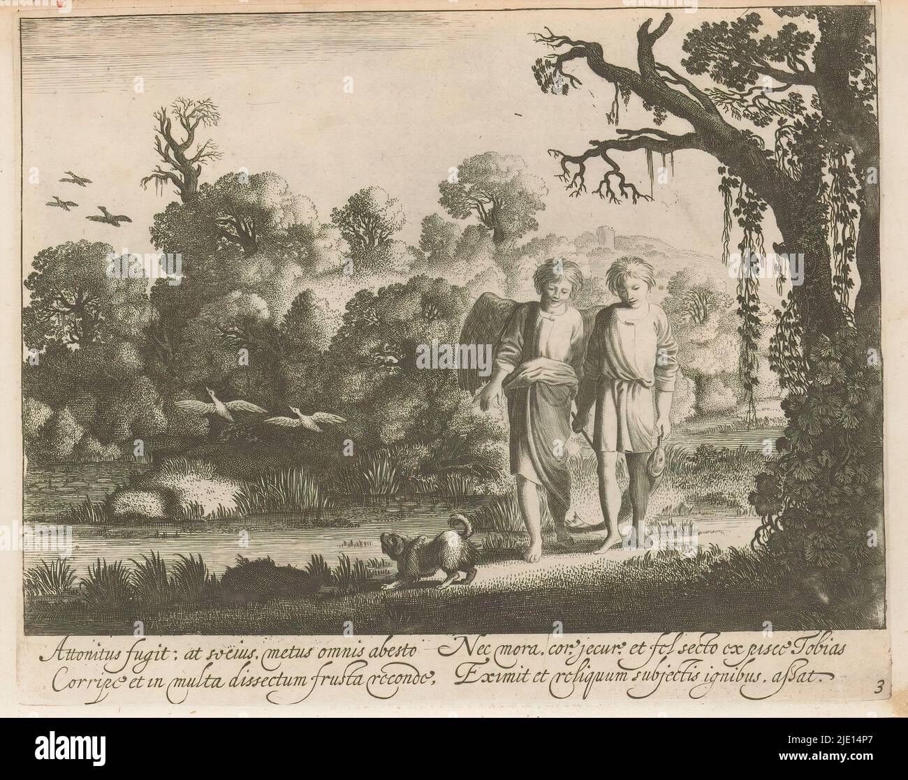 Tobias mit dem Fisch setzt seine Reise fort mit Raphael, Story of Tobias (Serientitel), Tobias und der Engel Raphael setzen ihre Reise fort, Tobias trägt den Fisch, den er gefangen hat. Dritter Druck in einer Serie von vier über die biblische Geschichte von Tobias. Rechts unten nummeriert: 3. Unten am Rand eine vierzeilige Beschriftung in Latein. Teil eines Albums mit hauptsächlich christlichen Szenen., Druckerei: Jan van de Velde (II), nach Gestaltung von: Moyses van Wtenbrouck, Verlag: Claes Jansz. Visscher (II), Druckerei: Nord-Niederlande, nach Entwurf: Antwerpen, Verlag: Amsterdam, 1603 - 1641, Papier, Radierung, eng Stockfoto