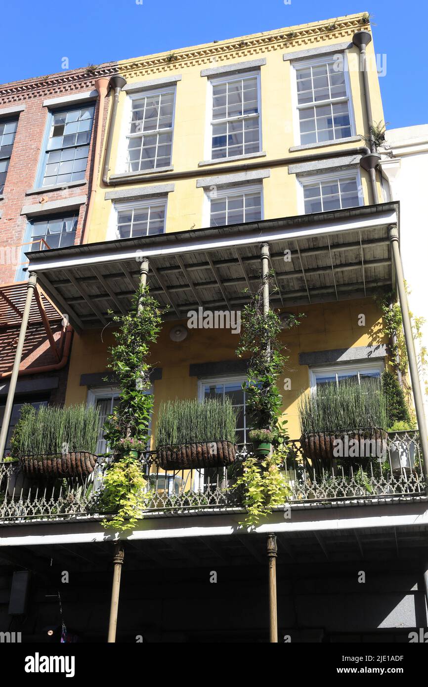 Französische Viertel Stockfoto