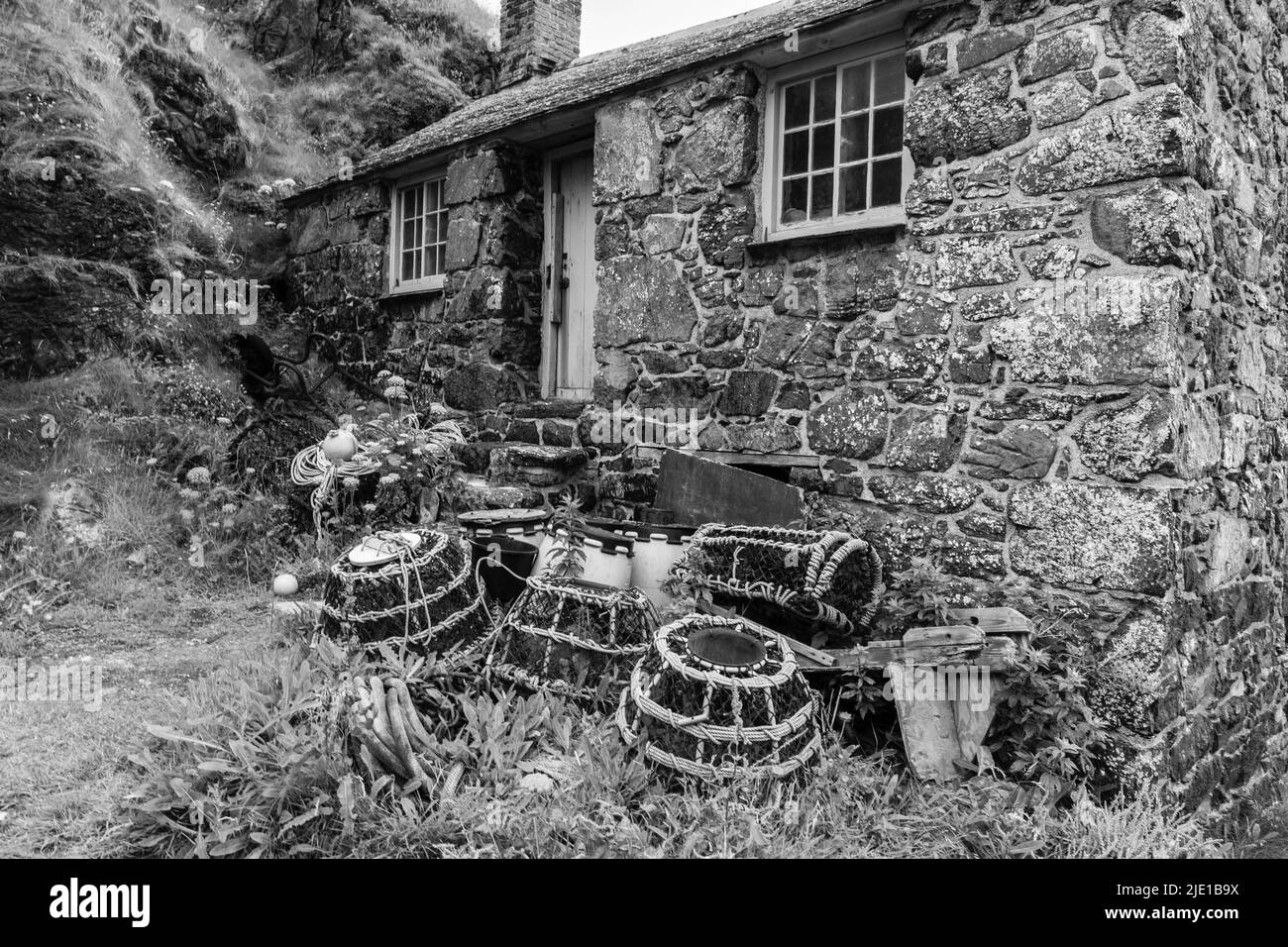 Blick auf Mullion Cove Harbor, Cornwall an einem Junimorgen Stockfoto