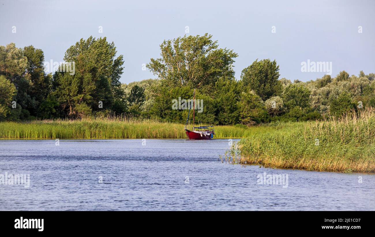 Bild einer roten Yacht, die am Schilfufer entlang segelt Stockfoto
