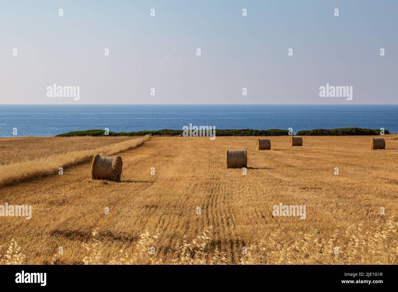 Heuballen auf einem Feld mit dem Ozean dahinter, entlang der Karpas-Halbinsel im Norden Zyperns Stockfoto