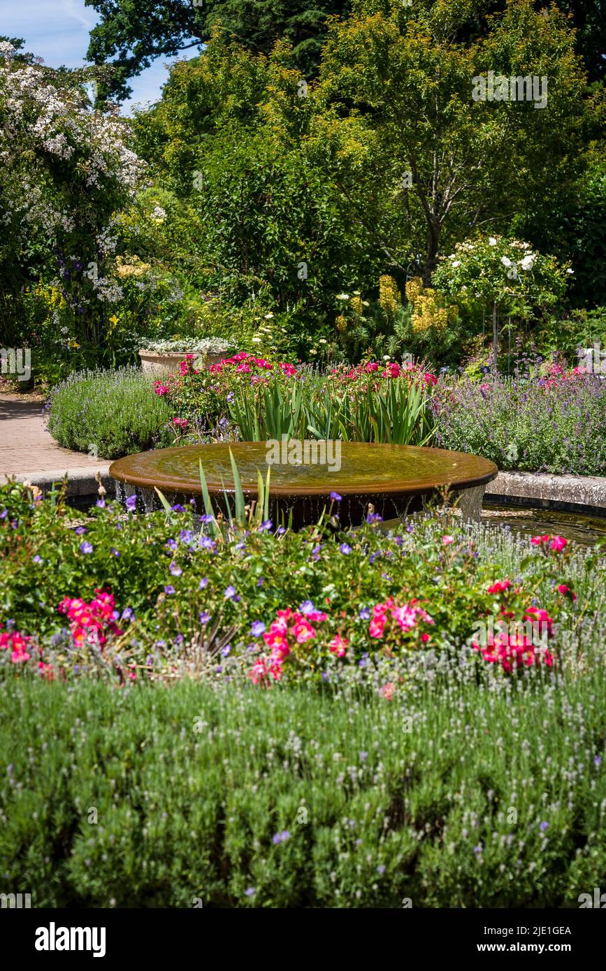 Cottage Garden im Juni, RHS Wisley Gardens, Surrey, England, Großbritannien Stockfoto
