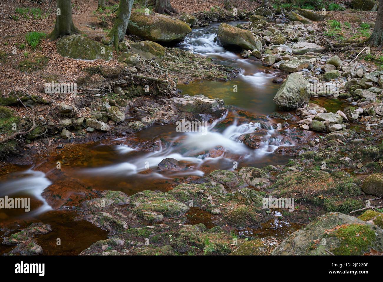 Die Ilse bei Ilsenburg am Fuße des Brockens im Nationalpark Harz in Deutschland Stockfoto
