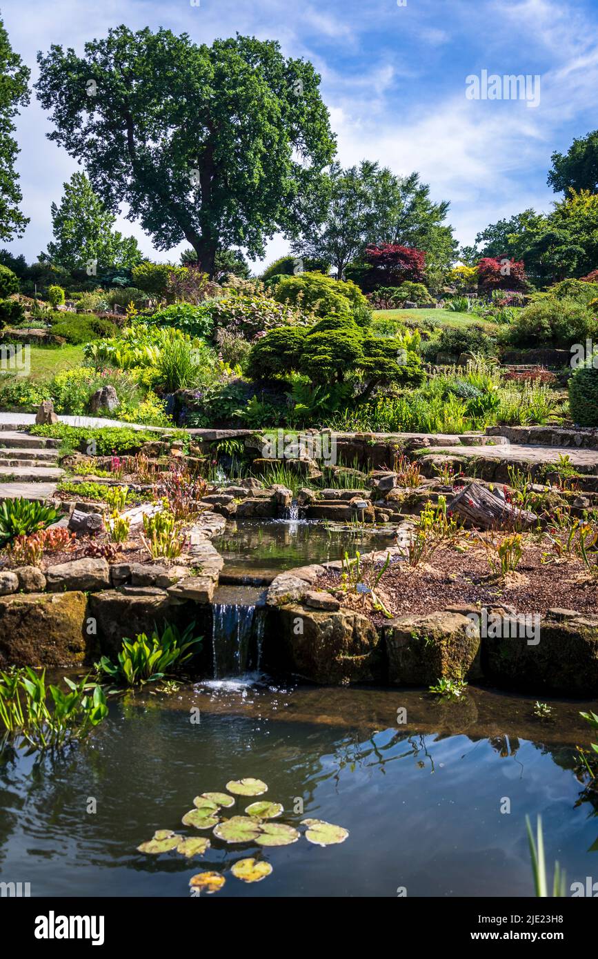 The Rock Garden, RHS Wisley Gardens, Surrey, England, Großbritannien Stockfoto