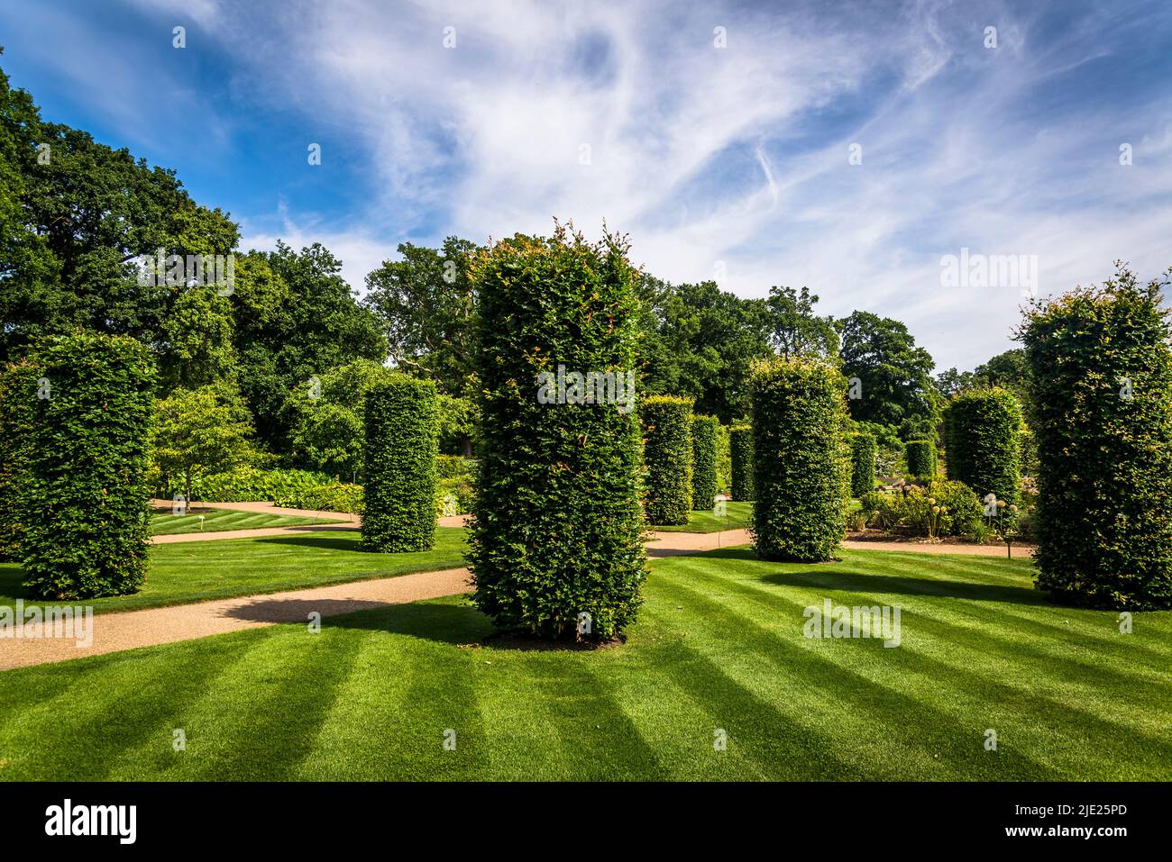 Topiaries, RHS Wisley Gardens, Surrey, England, Großbritannien Stockfoto