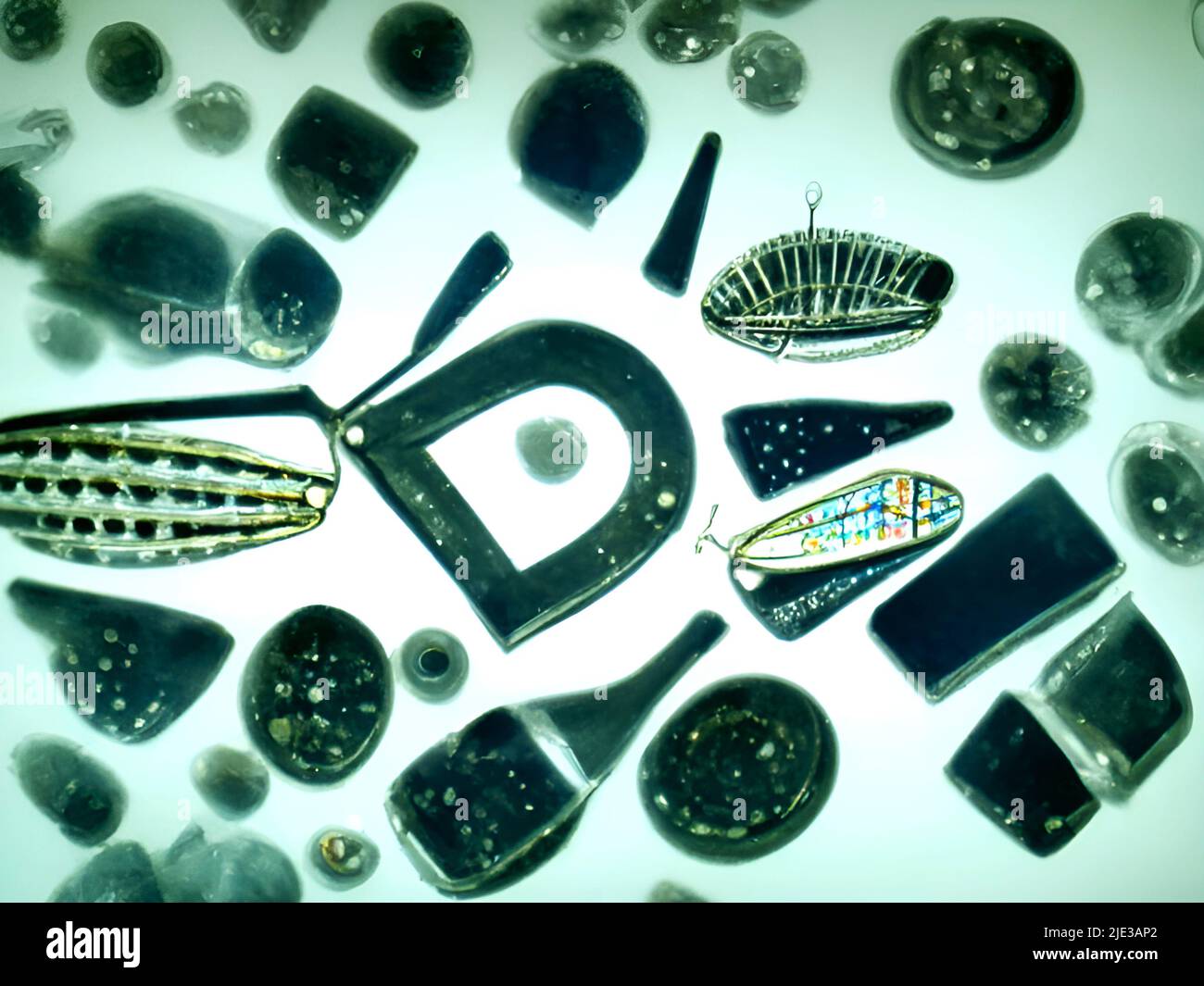 Kieselalgen unter dem Mikroskop Stockfoto