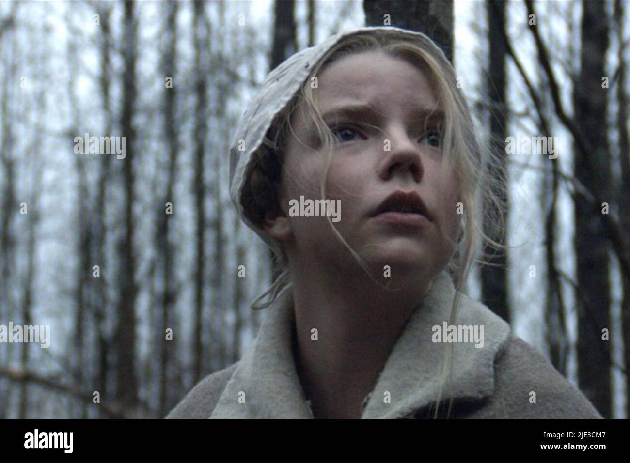 ANYA TAYLOR - Freude, die VVITCH: EINE NEUE - ENGLAND MÄRCHENS, 2015 Stockfoto