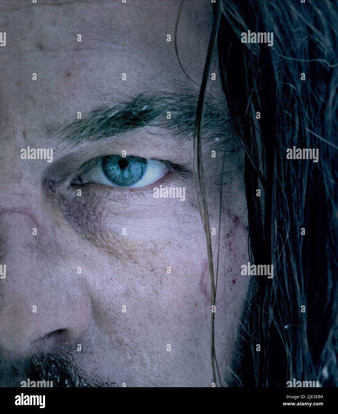 LEONARDO DICAPRIO, der Widergänger, 2015 Stockfoto