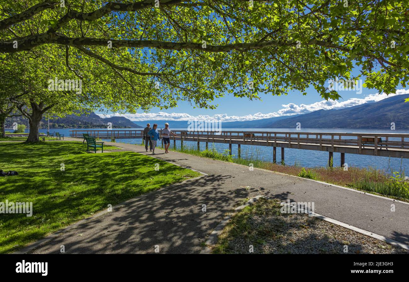 Menschen, die im Sommerpark spazieren. Schöne Gasse im Park am sonnigen Morgen. Ältere Menschen, die in einem grünen Park spazieren. Peachland, BC, Kanada, 7,2022. Juni Stockfoto