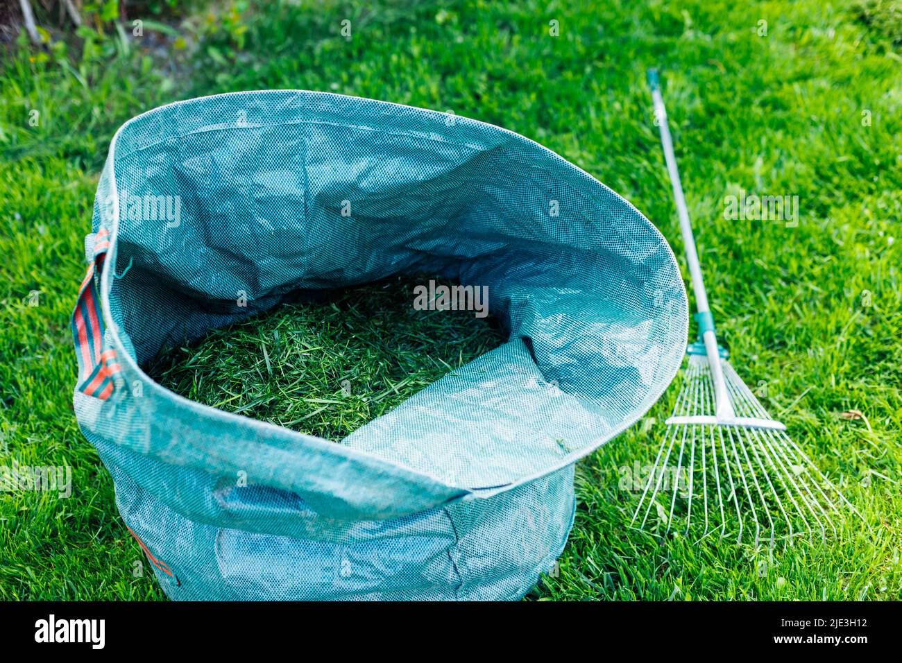 Frisches, natrlich geschnittenes Gras in einem blauen Beutel mit Rechen  auf grnem Rasen. Vorbereitung zuknftiger Kompost, kologischer  organischer Dnger. Recycling Stockfotografie - Alamy