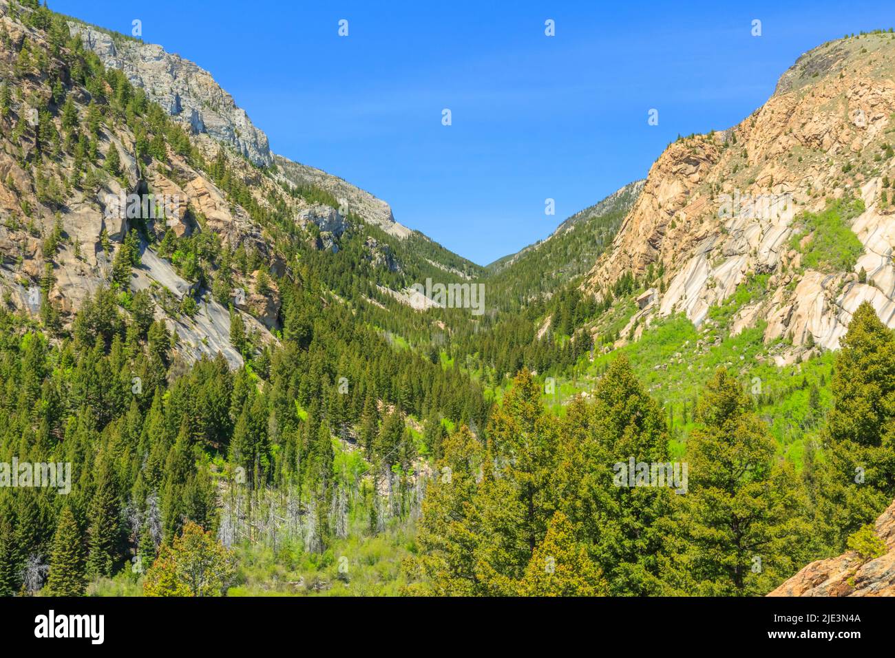 Lost Creek Canyon im Lost Creek State Park in der Nähe von Anaconda, montana Stockfoto