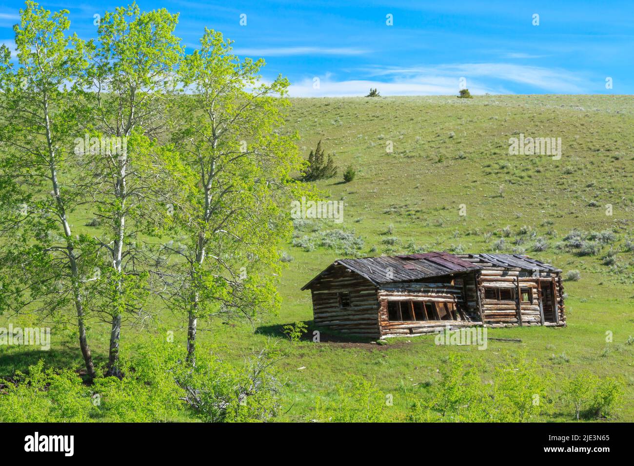 Alte Hühnerstall auf einer Wiese am Fuße des Feuersteinbachs in der Nähe der Deer Lodge, montana Stockfoto