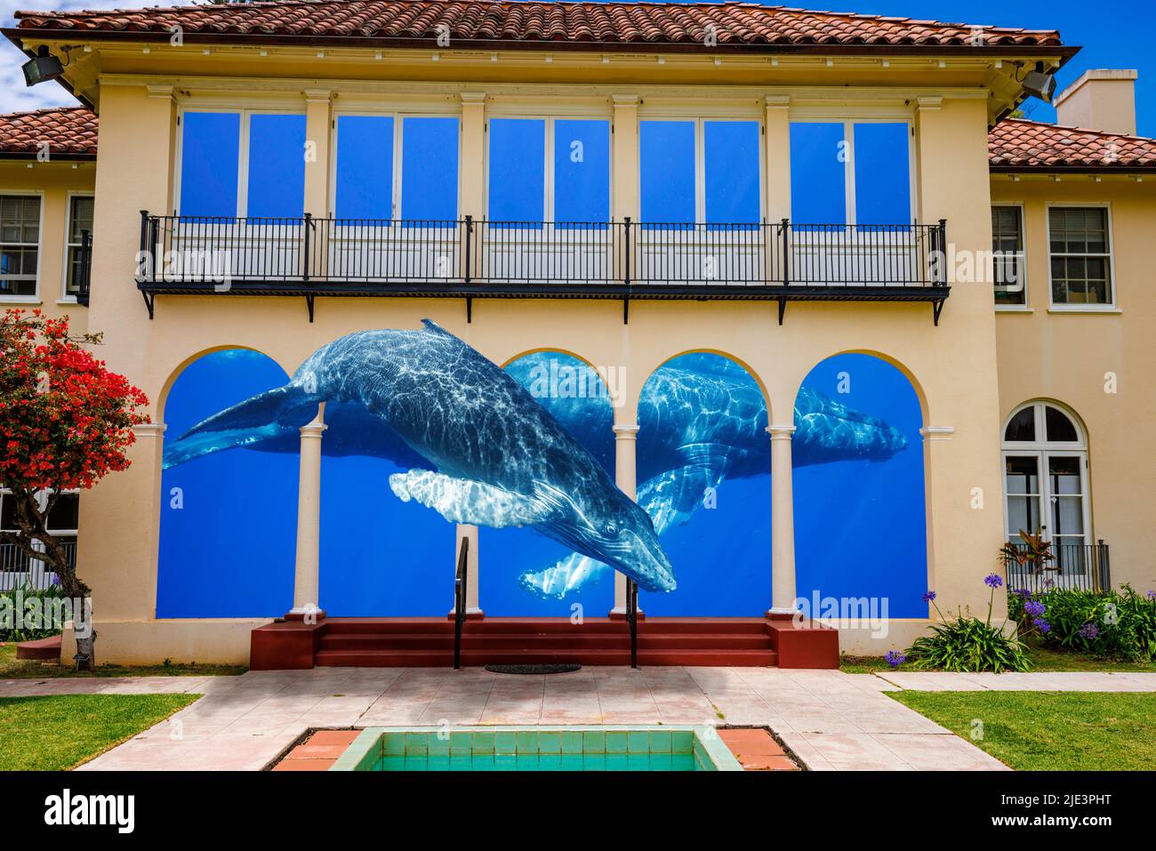Künstlerisches Fantasiebild von Buckelwalen, Megaptera novaeangliae, innerhalb und außerhalb eines Gebäudes. Stockfoto