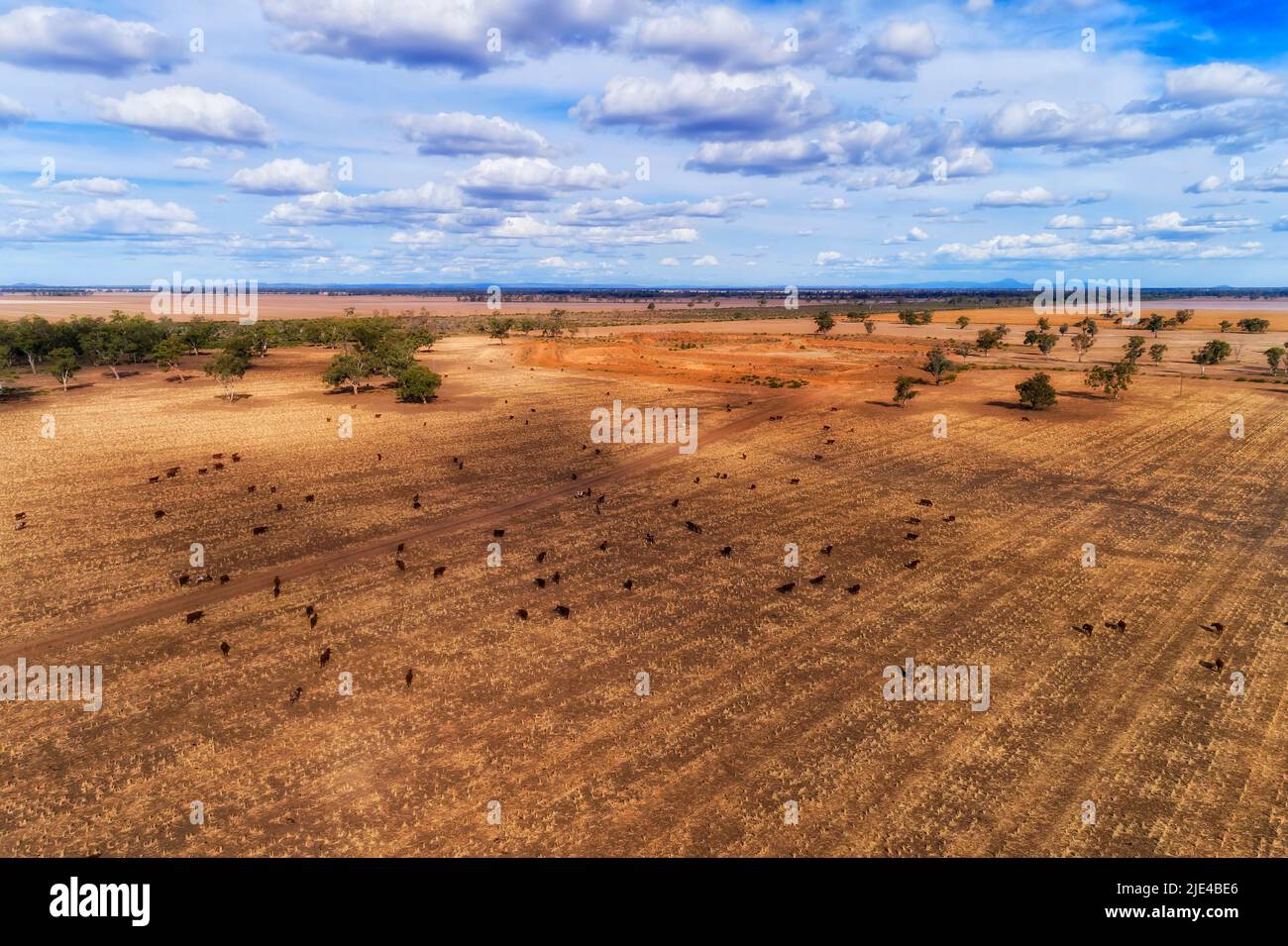 Trockene landwirtschaftliche Ebenen auf abgelegenen Kettle Farms rund um Moree Stadt Australien auf artesischem Becken. Stockfoto
