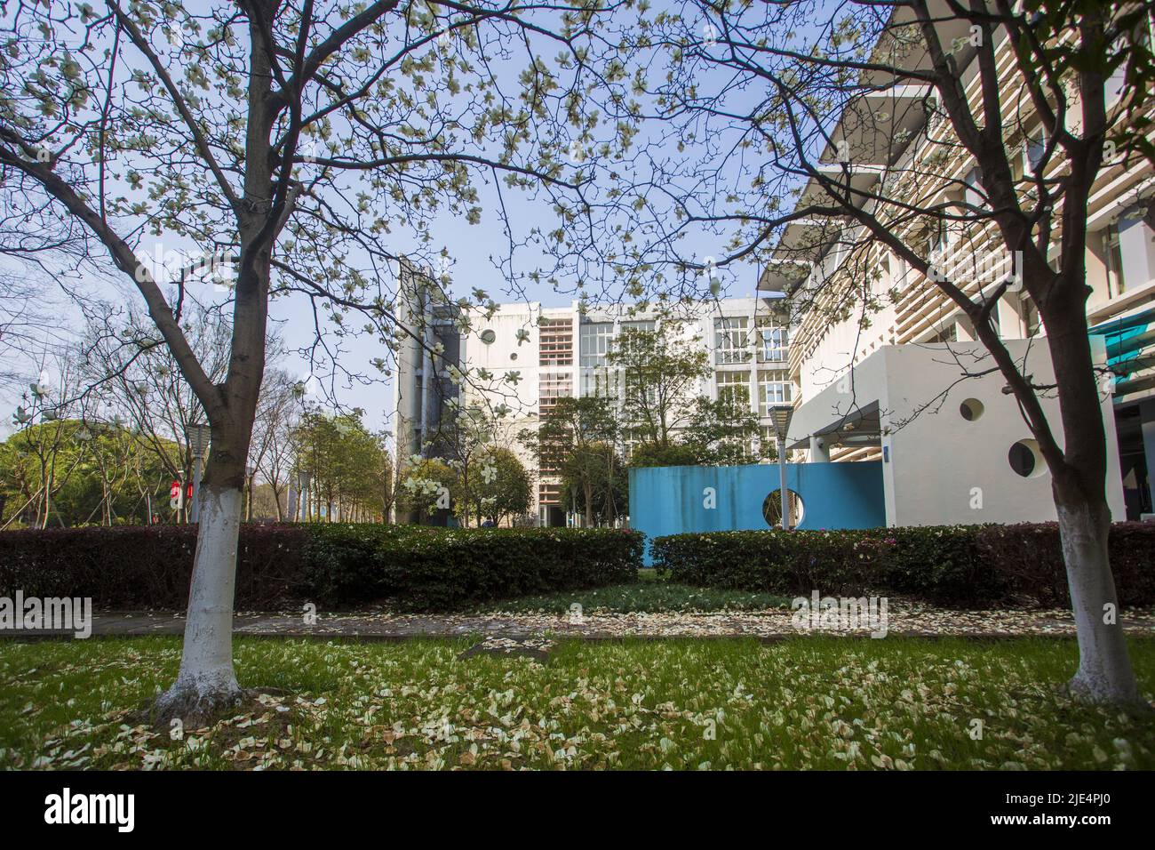 Zhejiang ningang yinzhou und Hochschulpark Universitätscampus Stockfoto