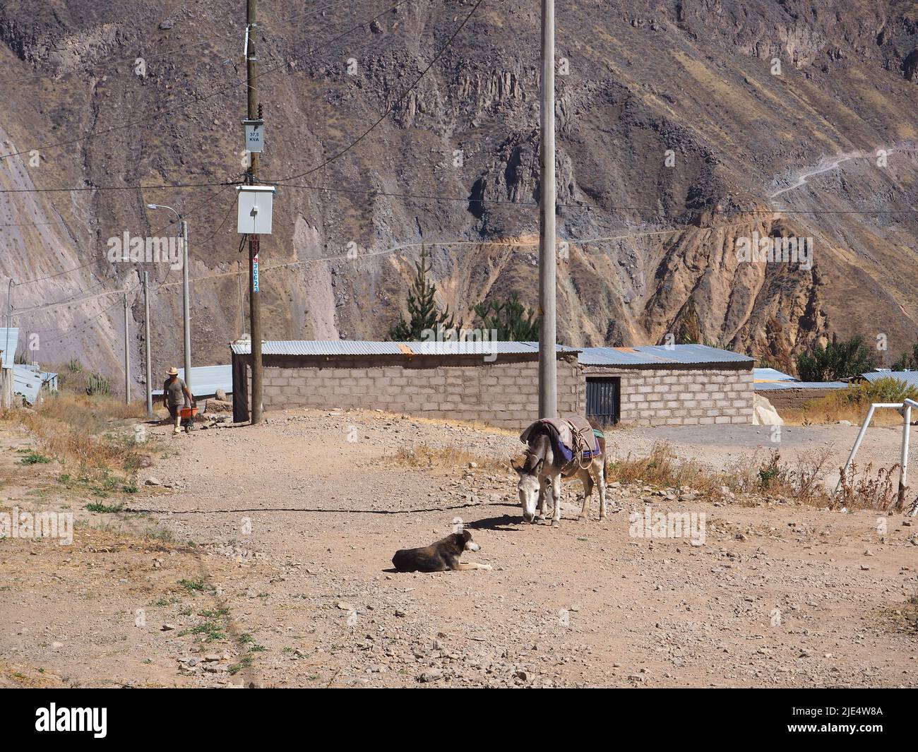 Arbeiter im peruanischen Dorf, Colca Canyon, Peru Stockfoto
