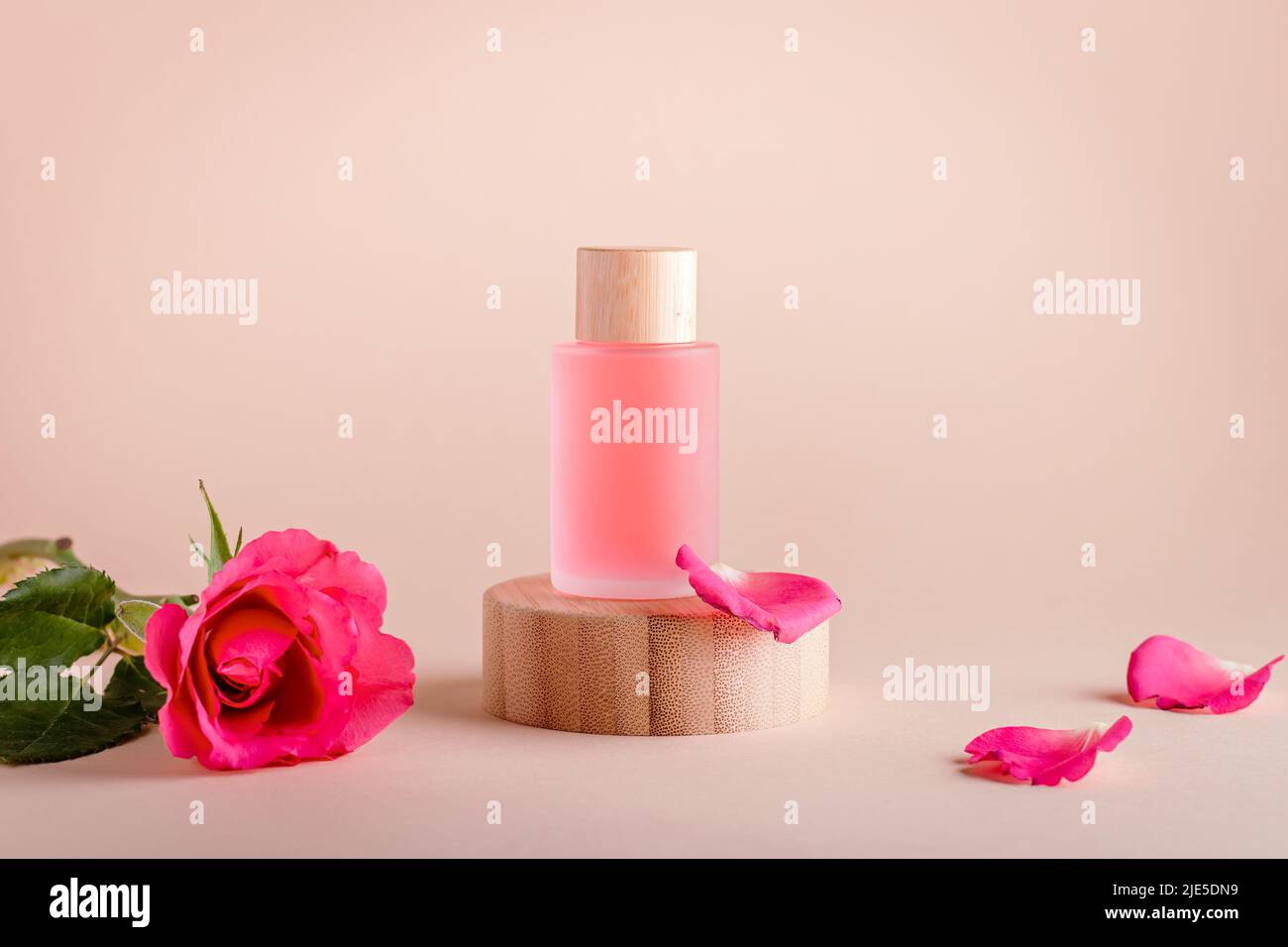 Rosenextrakt-Gesichtsserum in nachfüllbaren Flaschen auf Holzpodium mit Rosenblüte, minimale Zusammensetzung Stockfoto