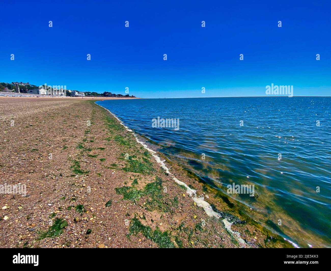 Exmouth direkt am Meer in Devon Stockfoto