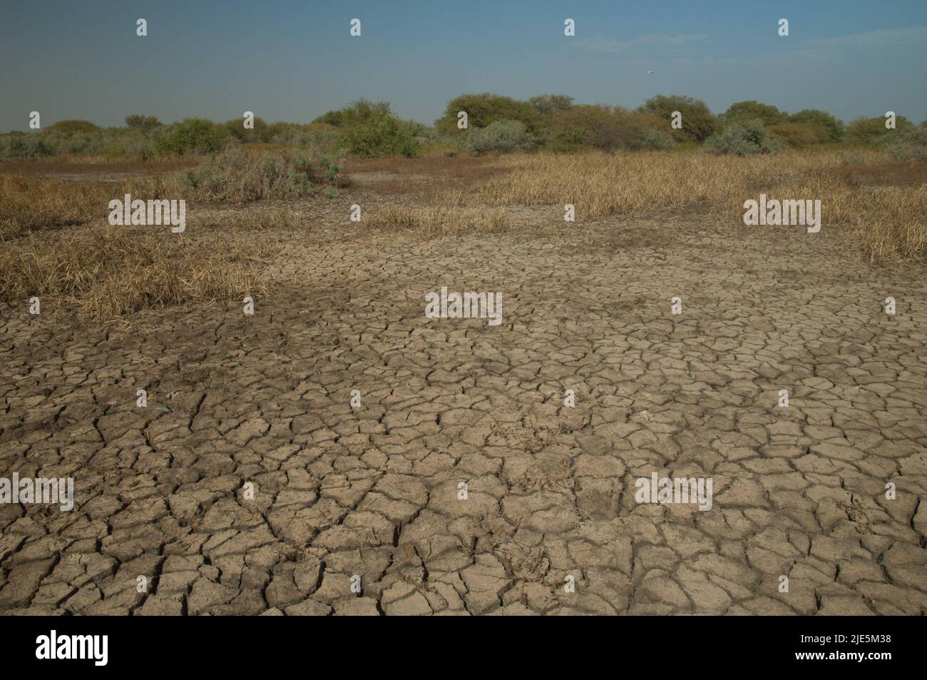 Trockene Lagune im Nationalpark Oiseaux du Djoudj. Saint-Louis. Senegal. Stockfoto