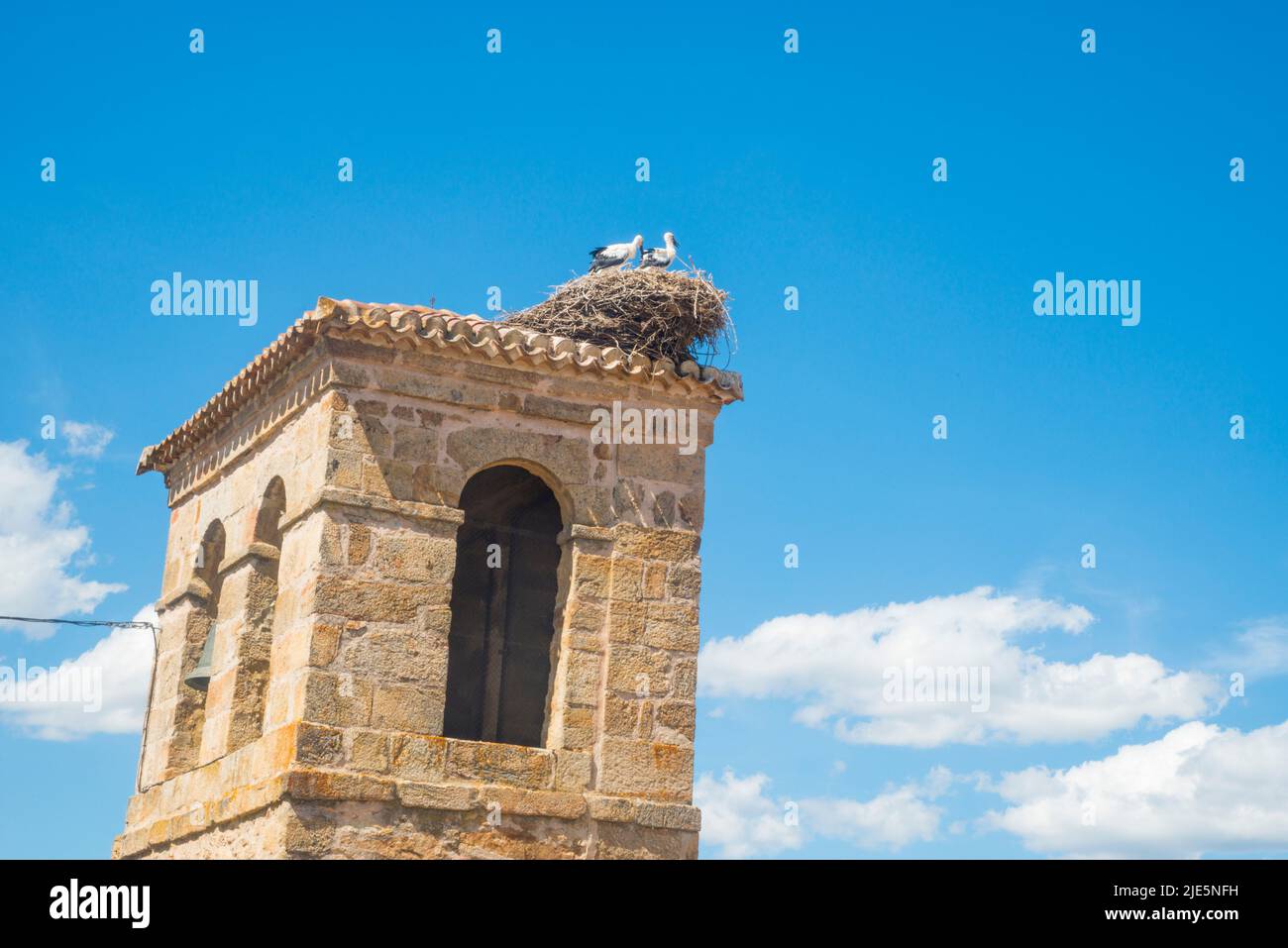 Glockenturm der Kirche und Störche nisten. Piñuecar, Provinz Madrid, Spanien. Stockfoto