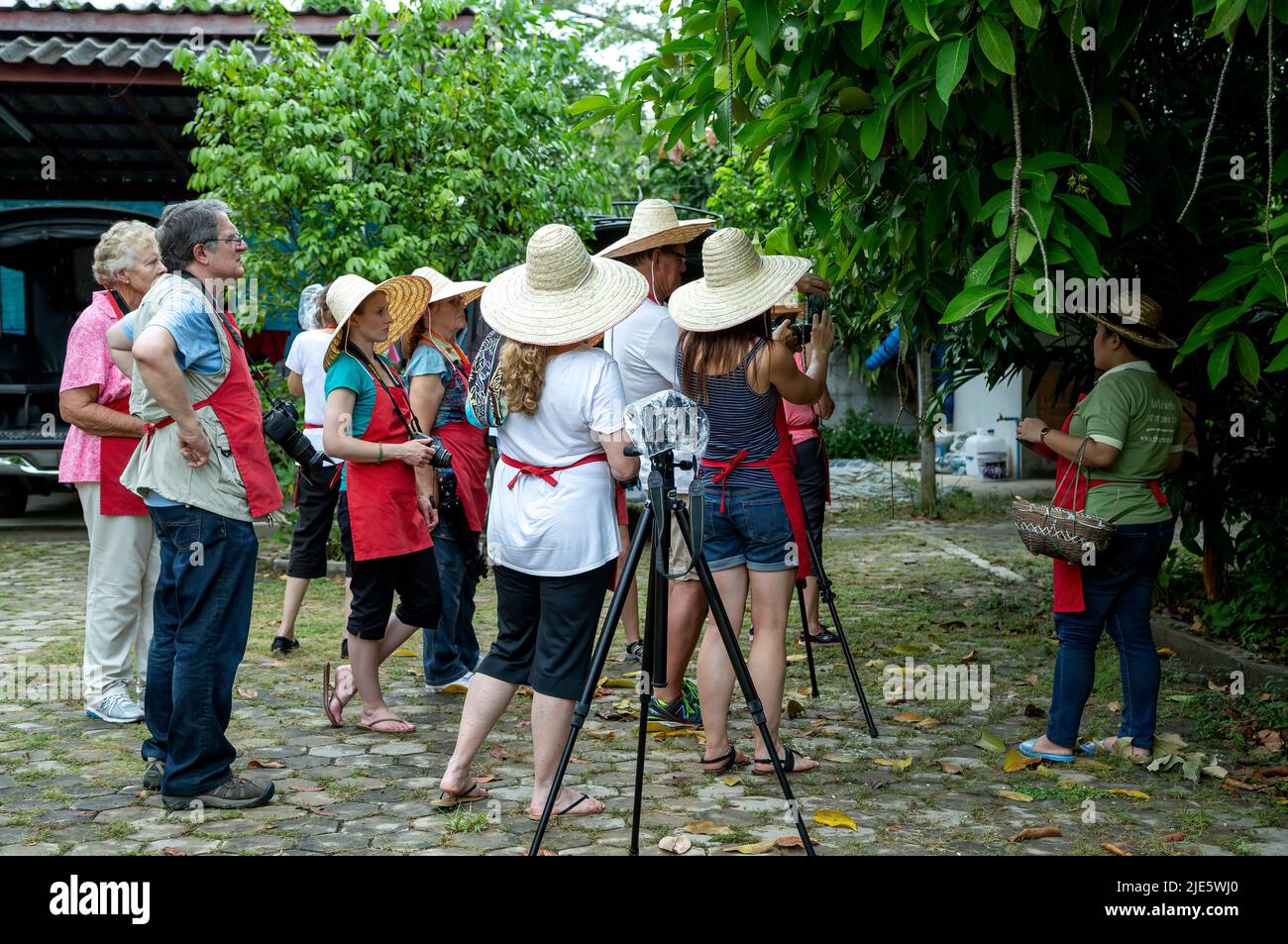 Photography Group und Benny, Kochlehrer, Thai Farm Cooking School, in der Nähe von Chiang Mai, Thailand Stockfoto