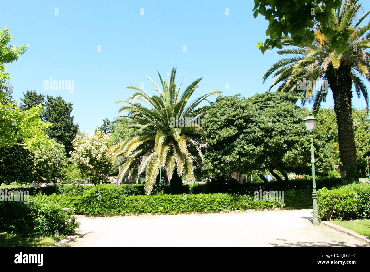 Spazieren Sie durch die Gassen der Parks von Valencia Stockfoto