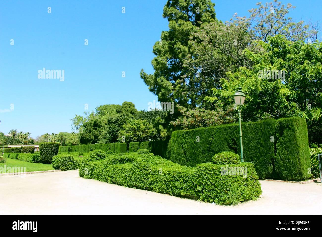 Spazieren Sie durch die Gassen der Parks von Valencia Stockfoto